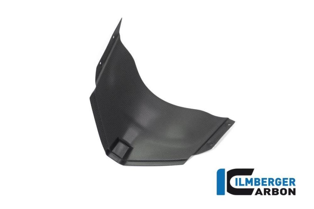 Panel under the front fairing matt Panigale V4 Racing