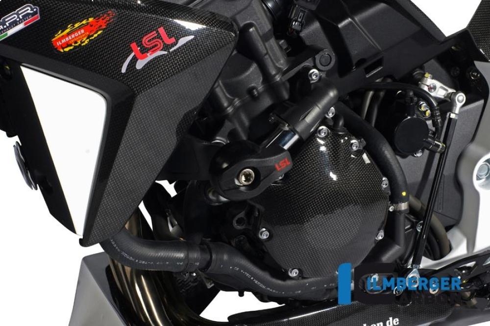 Alternator cover carbon