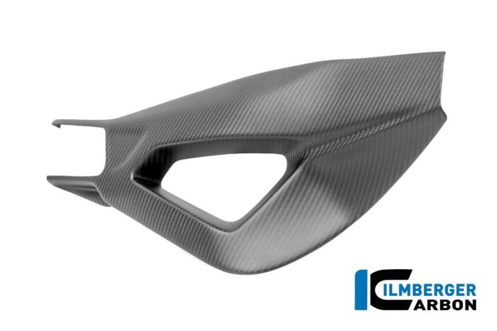 Swingarm cover right BMW S 1000 RR from year 2019