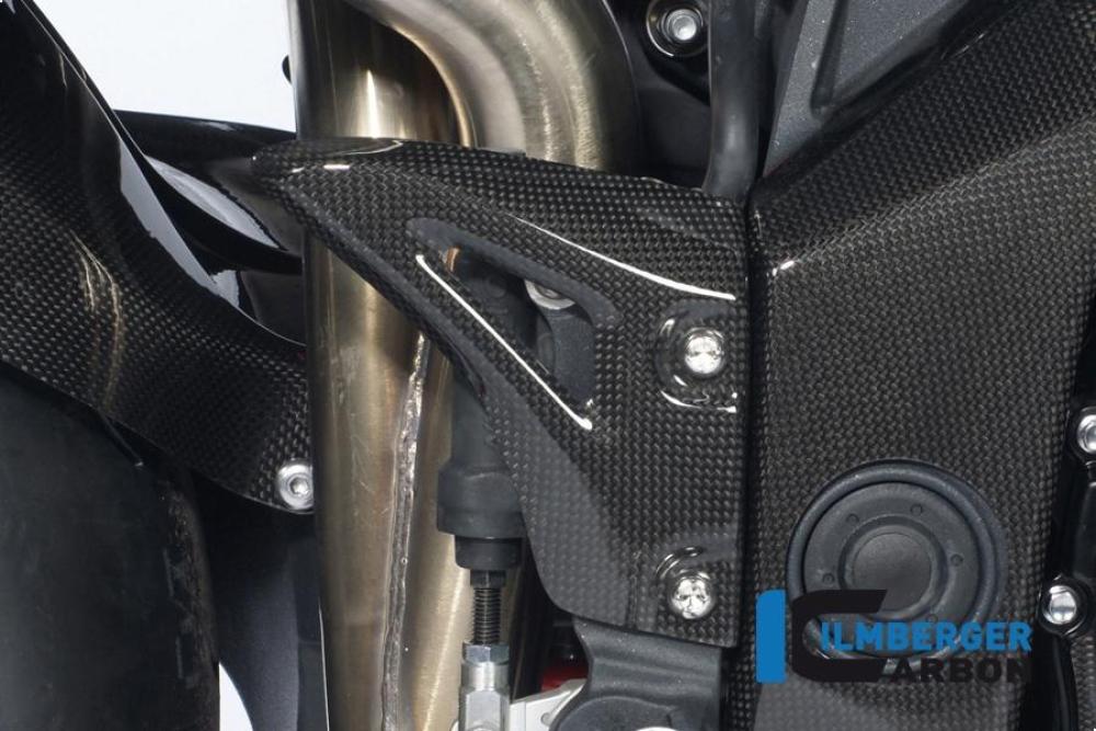 Right heel guard Carbon