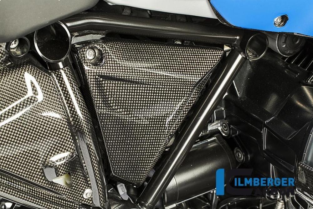 Frame triangle cover right Carbon