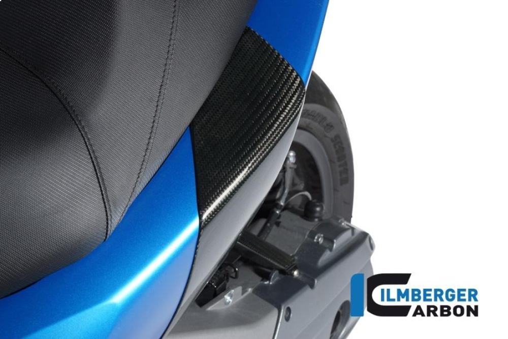 Sturzpad hinten (2tlg) C600 Sport