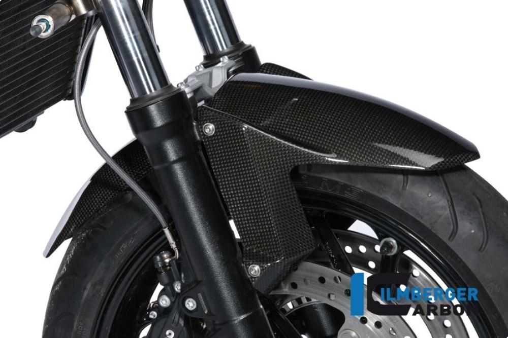 Preview: Kotflügel vorne Carbon BMW F 800 R