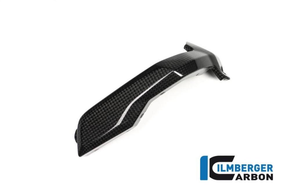 Preview: Spark Plug Cover right Side Carbon - BMW R 1200 GS (LC) from 2013 to 2015