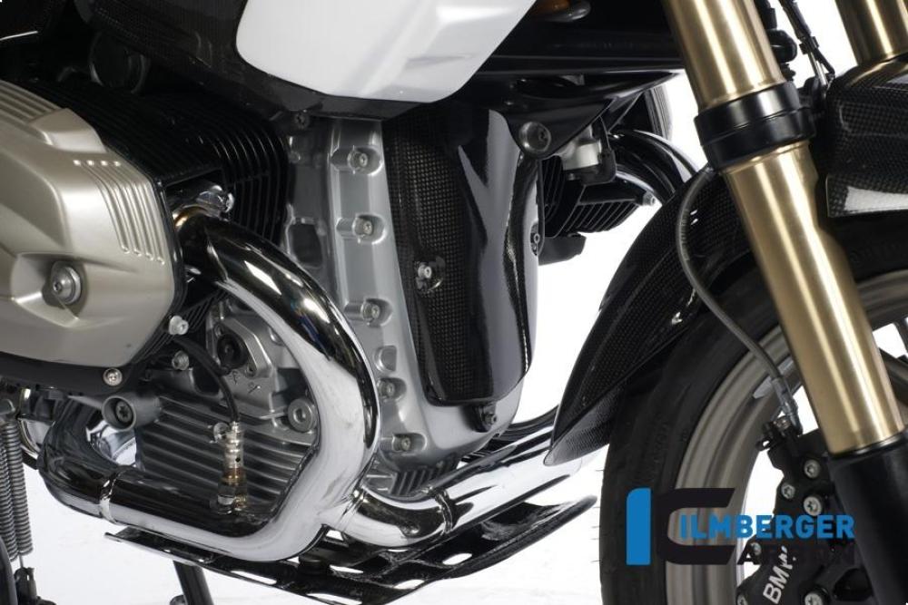 Preview: Alternator Cover Carbon