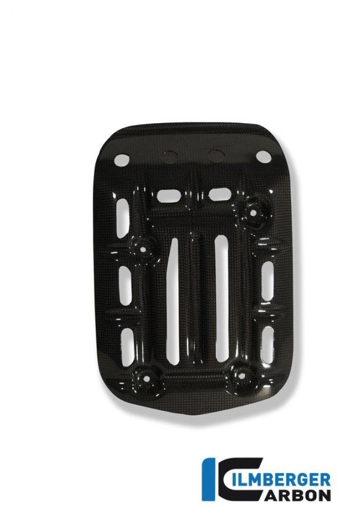 Motorschutz unten Carbon