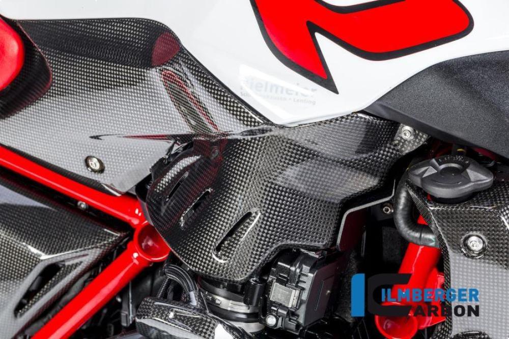 Seitendeckel unterm Tank rechts Carbon