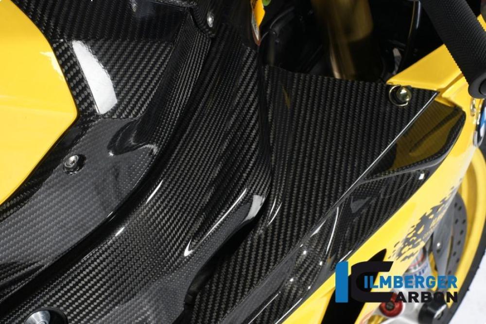 Frame cover right and left carbon