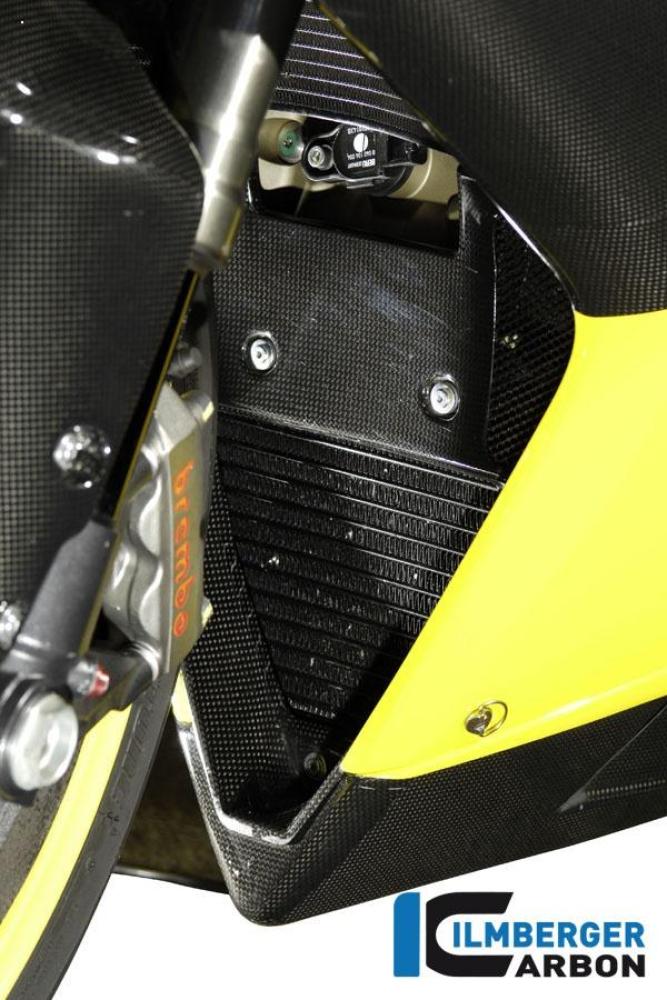 Preview: Fairing Insert Carbon