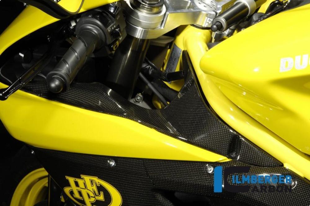 Windkanalabdeckungen Paar Carbon