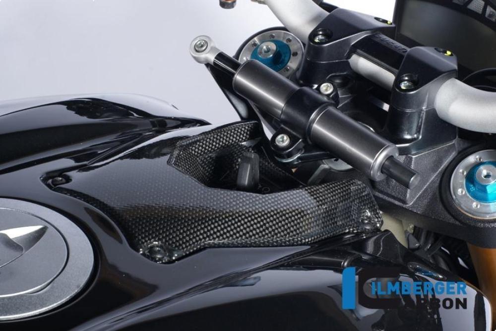 Zündschlossabdeckung Carbon