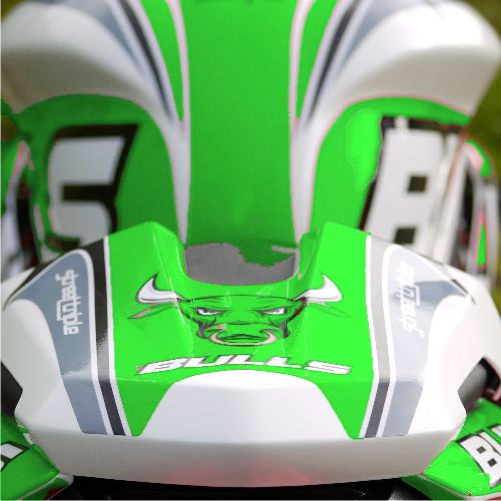 TRIUMPH Streettriple 13-17 Dekor Stickerkit "BULLS - Green"