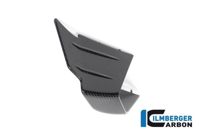 Winglet links BMW M 1000 RR Bj 2021-2022