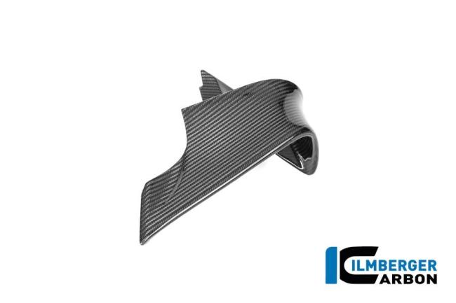 Winglet links BMW M 1000 RR 2025