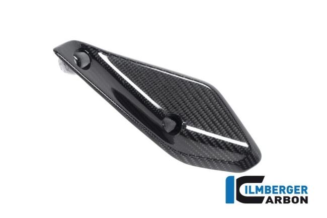 Verkleidungswinglet links BMW R 1250 RS