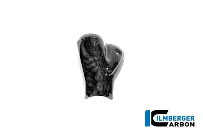 Exhaust heat shield carbon glossy BMW R12 NineT 2024
