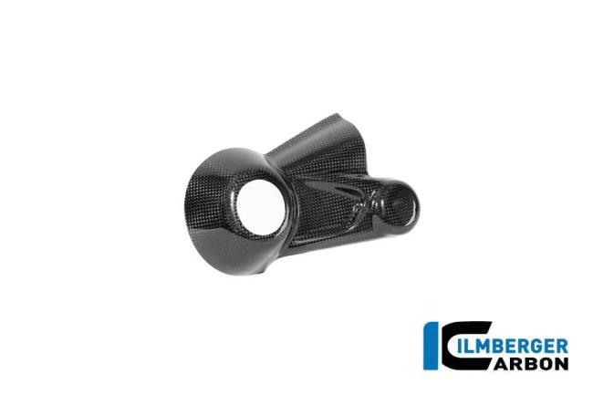 Cardan shaft cover carbon glossy BMW R12 NineT 2024