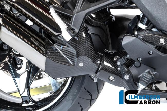 Auspuffhitzeschutz vorne Carbon glänzend BMW R 1300 R