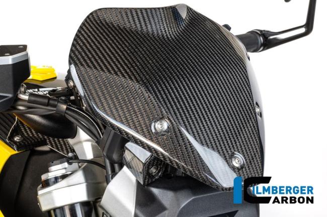 Windshield with Holder Carbon Glossy BMW R 1300 R