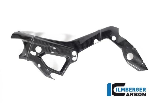 Frame Cover left side BMW S 1000 R MY from 2021 / M 1000 R MY from 2023