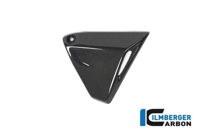 Frame Triangle Cover right Side BMW R 1250 GS / R 1250 R and RS
