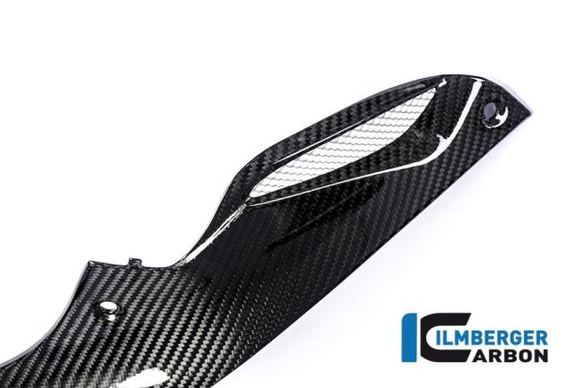 Seitendeckel rechts am Tank Racing Carbon