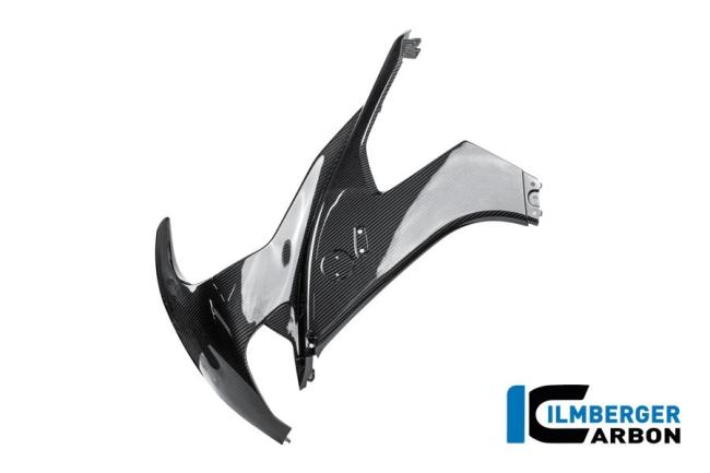 Seitenverkleidung links Carbon glanz M 1000 RR Straße (ab 2025)