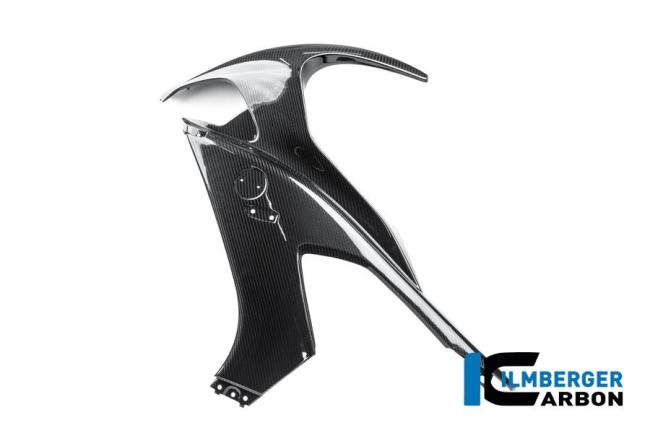 Seitenverkleidung links Carbon glanz M 1000 RR Straße (ab 2025)