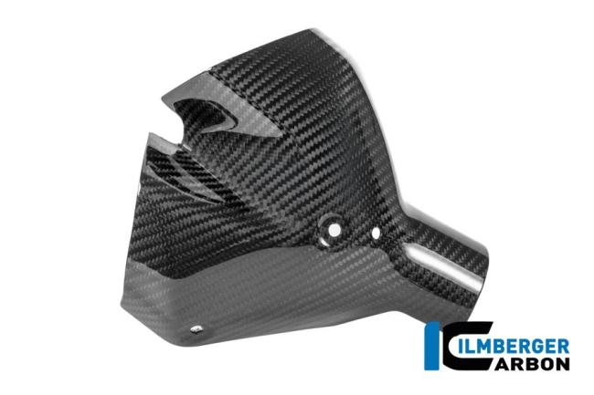 Auspuffhitzeschutz vorne Carbon glänzend BMW R 1300 R