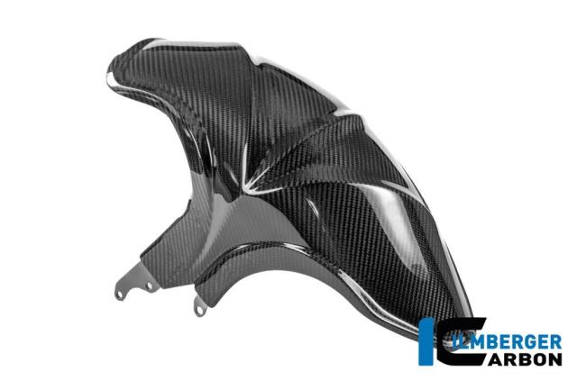 Rear fender carbon glossy BMW R 1300 R