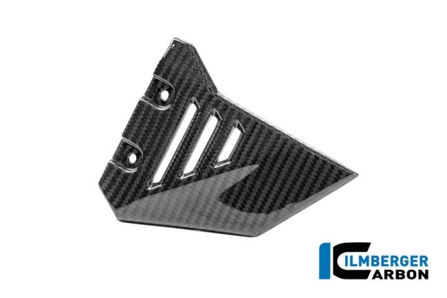 Vorderer Dreiecksdeckel für hinteren Rahmen rechts Carbon glänzend R 1300 GS Adventure