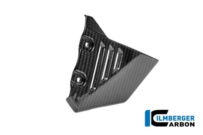 Vorderer Dreiecksdeckel für hinteren Rahmen rechts Carbon glänzend R 1300 GS Adventure