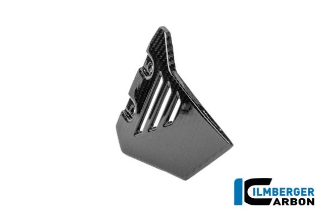 Vorderer Dreiecksdeckel für hinteren Rahmen rechts Carbon glänzend R 1300 GS Adventure