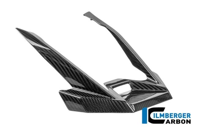 Beak Extension Carbon Glossy R 1300 GS Adventure