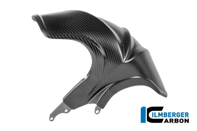 Kotflügel hinten Carbon matt BMW R 1300 R