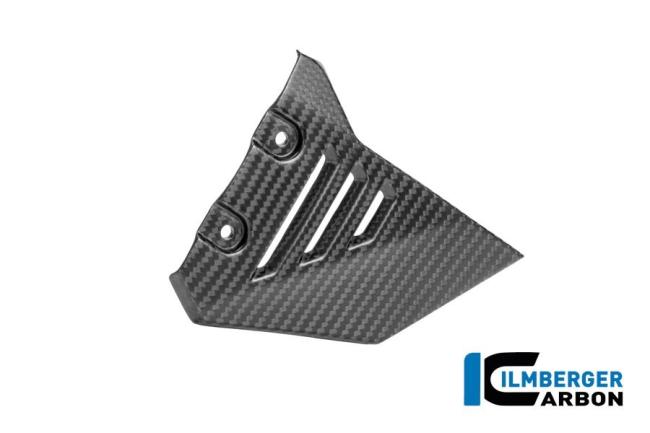 Vorderes Dreieck-Abdeckung für hinteren Rahmen rechts Carbon matt R 1300 GS Adventure