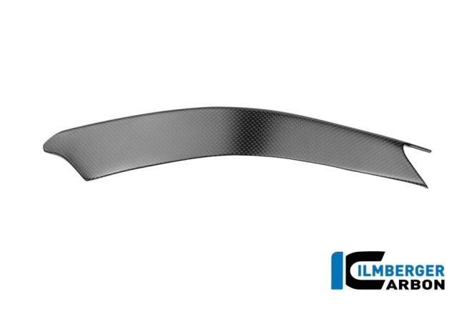 Rahmenheckverkleidung links Carbon matt Panigale V4 2025