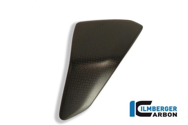Left side fairing insert carbon