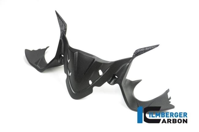Instrumentenabdeckung matt Carbon Panigale 1299 (ab 2015)