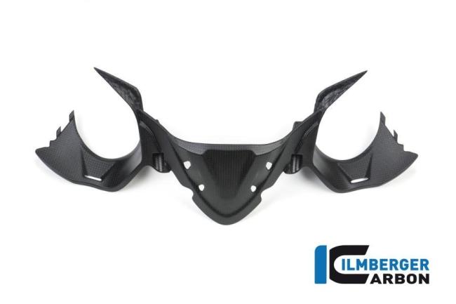 Instrumentenabdeckung matt Carbon Panigale 1299 (ab 2015)