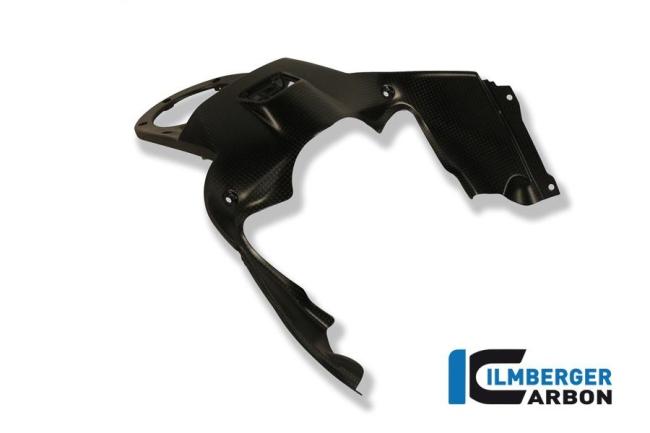 Instrumenteabdeckung am Tank Carbon