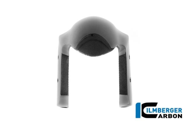 Kotflügel vorne Carbon glanz Panigale V4 2025