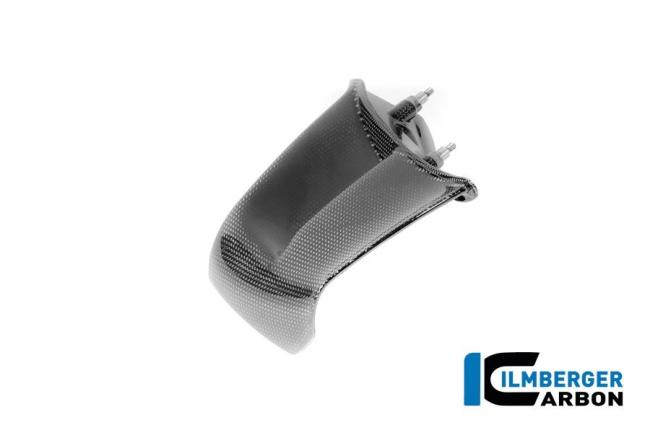 Winglet links Carbon glanz Panigale V4 2025