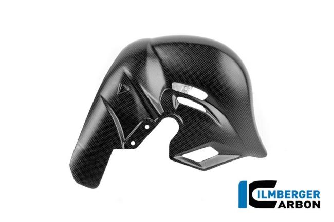 Auspuffhitzeschutz Carbon matt Panigale V4 2025