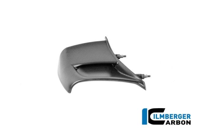 Winglet rechts Carbon matt Panigale V4 2025