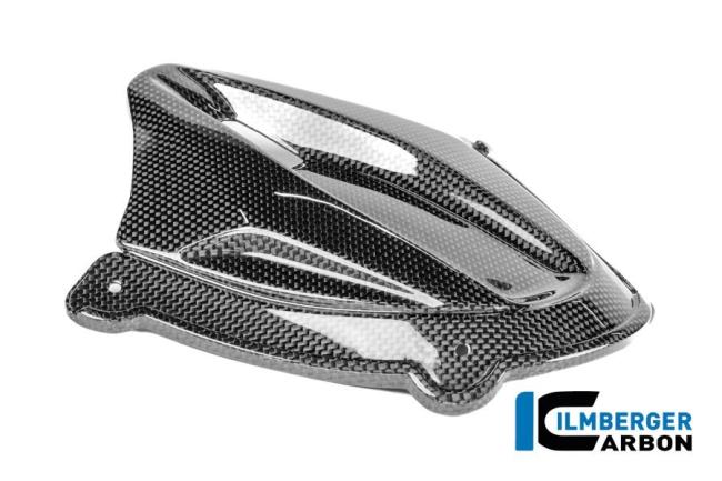 Instrumentenabdeckung Carbon glanz Panigale V4 2025
