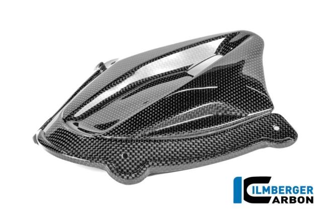 Instrumentenabdeckung Carbon glanz Panigale V4 2025