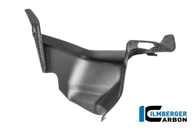 Windkanalabdeckung links Carbon matt Panigale V4 2025