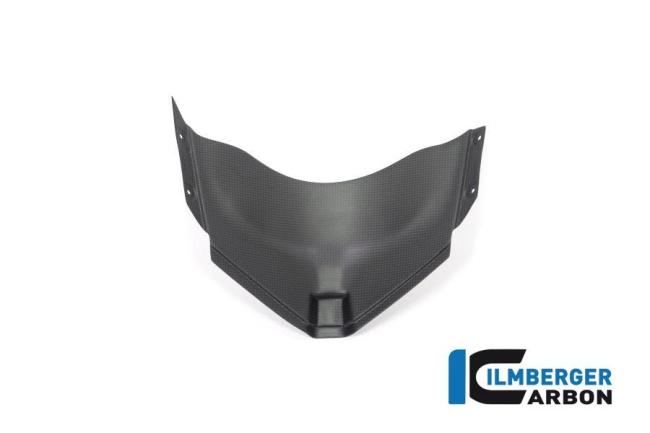 Panel under the front fairing matt Panigale V4 Racing