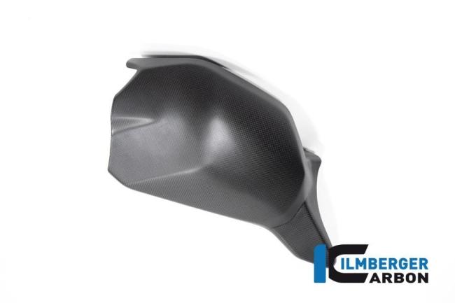 Swing Arm Cover matt V4 Streetfighter